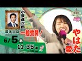 【#やはた愛 の国会質問！】農林水産委員会・一般質問 2025年6月5日11:35頃～