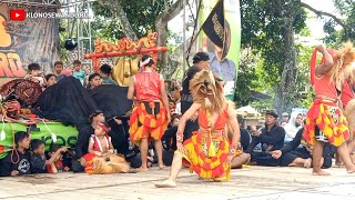 Tari Bujang Ganong Jaranan Rogo Samboyo Putro Terbaru