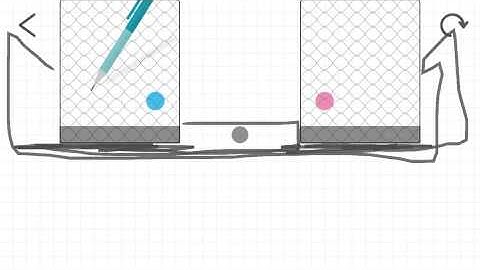 브레인 도트 250 #Braindots