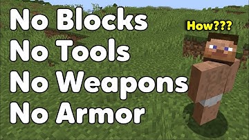 Minecraft With No Blocks, Tools, Weapons, or Armor