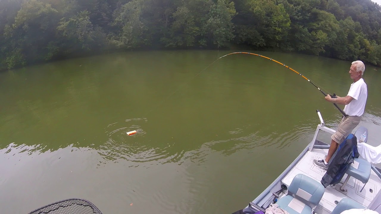 Striper Cumberland River YouTube