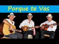 Porque te vas  mandoline et guitares  ralis au bar de monti