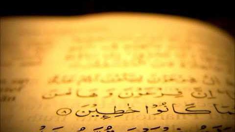 الشيخ إبراهيم الأخضر سورة النور