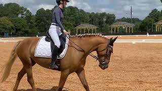 Sierra Gowens- flat video RRP application 2026