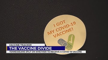 The Vaccine Divide