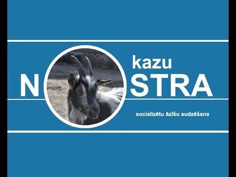 Video: Kāds Būs Zilganzaļā Koka Kazas Gads