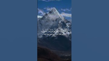 القران الكريم🌿راحة نفسية♥️🌿 القارئ ناصر القطامي🌿ارح قلبك ♥️🌿 #القرآن_الكريم#السعودية #المغرب_الجزائر
