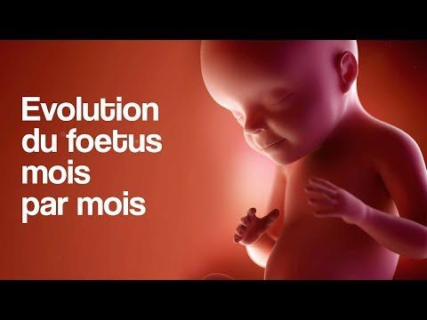 Vidéo: 9 semaines de développement du bébé