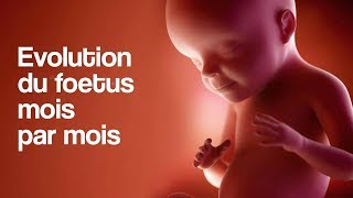 GROSSESSE - L’évolution du foetus mois par mois screenshot 1