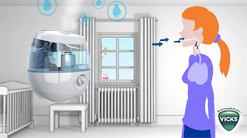 ¿Se pone agua fría o agua caliente en un humidificador?