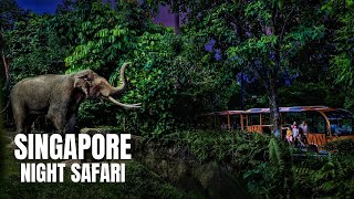 Night Safari Singapore Walking Tour (4K HDR)