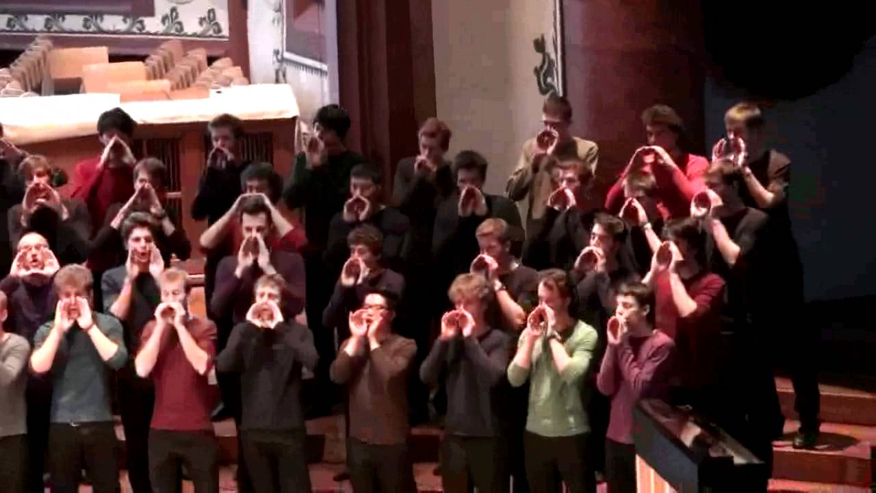 Jugendchöre der Musik-Akademie Basel Cantat+iVox: Ranz des vaches, EJCF Basel 2012