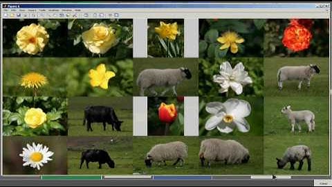 SLAR Framework for Smart Content Based Image Retrieval (CBIR)