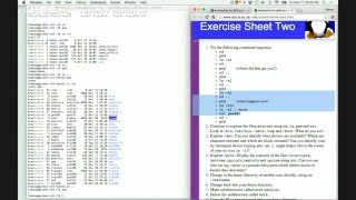 Linux Exercises in Gordon Sheet 2