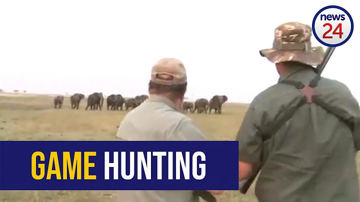 GRAPHIC WARNING - WATCH: 'Hit it between the eyes'- elephants charge at hunters after one shot down