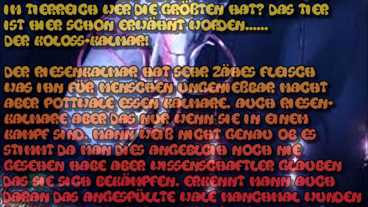 Riesenkalmar Riese Der Meere Youtube