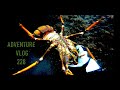Josh James lads New Zealand Adventure VLOG lobster catch and cook freedive cray deer adventure