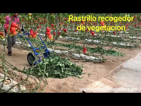 Rastrillo Manual recogedor de vegetación video