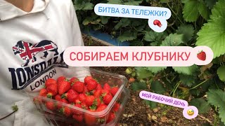 Один из рабочих дней на ферме 🍓 | Работа в Шотландии