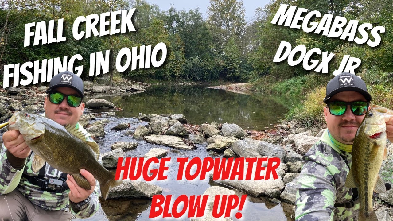 Creek Fishing INSANITY in Ohio--These Bass were HUNGRY! (Crazy Good Fall Bite!)