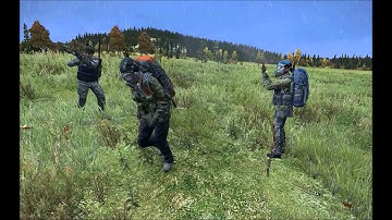 DayZ traitor