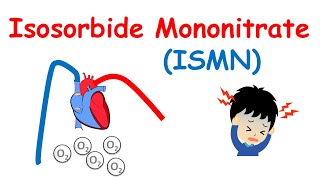 Isosorbide Mononitrate  Mechanism, precautions, side effects & uses