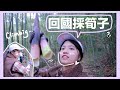 【VLOG】跟著老爸折筍子◖Super Doris◗