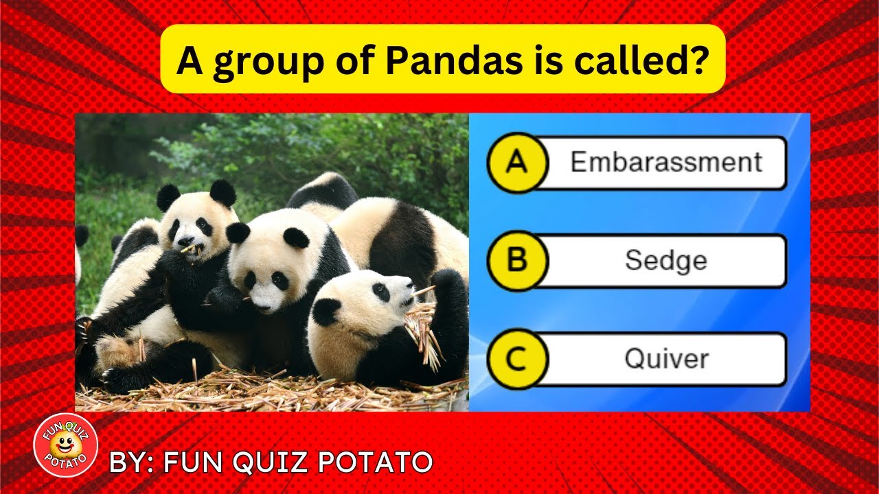 Guess 33 Animal Group In 9.72 Seconds | 😁 Question Quiz Game Trivia | Fun Quiz Potato