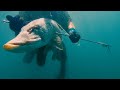 Трофейная подводная охота на щуку в Туве