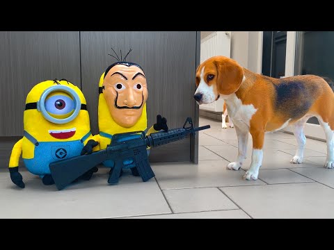 dogs-vs-minion-prank-:-funny-dogs-louie-and-marie-ep13