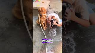 Yaz Sıcağında En Tatlı İkili