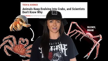 Is CRAB the final form? | Lindsay Nikole