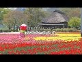 Hometown ŌnoLyrics by Emiko Kudo / Music by Masayuki Hirao