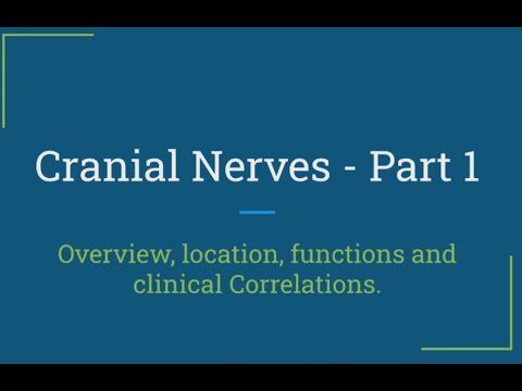 Cranial Nerves -- Neuroanatomy -- Part 1 -- USMLE Step 1. - YouTube