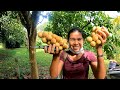 picking fruits with my friend - it's a fruit season in phuket