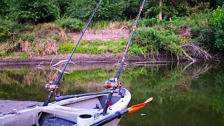 Catching BIG FLATHEADS on CUTBAIT!! (Catch and Cook)