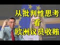 【苑举正】世足期间欧洲议员涉收贿遭调查，这背后的涵义为何呢?