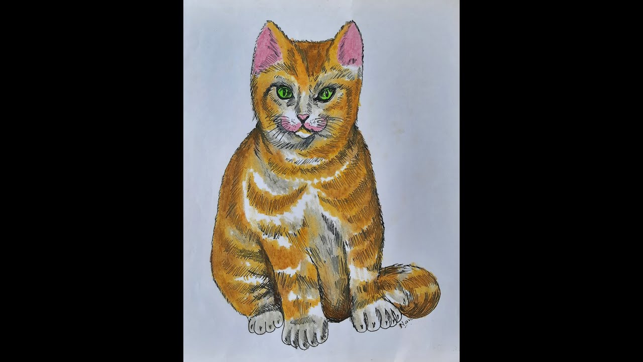 How to colour a cat easily using oil pastels for beginners | Step by ...