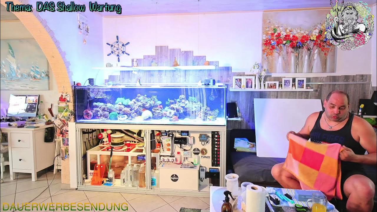 Viper´s Meerwasser Sonntags arbeiten am Aqua einer arbeitet alle schauen zu ) YouTube