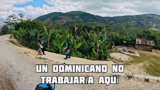 Nadie Quiere Trabajar Aqui En Los Campos De Rd Mira Por Qué