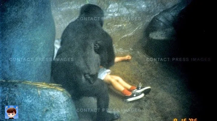 10隻動物救人的感人故事 - 天天要聞