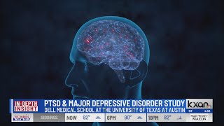 Insight: New study focuses on PTSD and Major Depressive Disorder