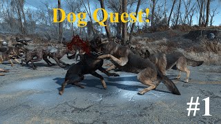 My (1 Int) dog quest | Fallout 4 game play and commentary