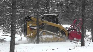 Cat 299D XHP with Fecon Mulching Head