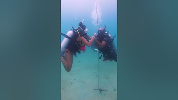 Become a PADI Instructor on Koh Tao & live your dreams #scubadivinglife #livethedream #padi #kohtao