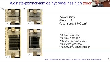Penner Distinguished Lecture Series- Fall 2025- Professor Zhigang Suo