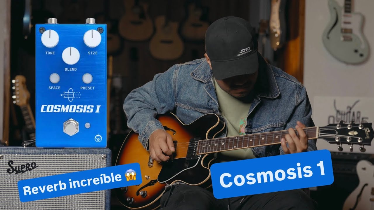 Cosmosis 1 Pigtronix - Increíbleee Reverb - YouTube