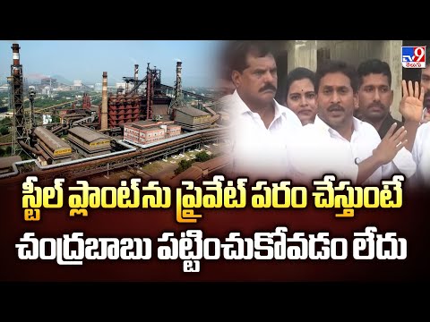 స్టీల్ ప్లాంట్ ను ప్రైవేట్ పరం చేస్తుంటే చంద్రబాబు పట్టించుకోవడం లేదు : YS Jagan Comments - TV9 - TV9