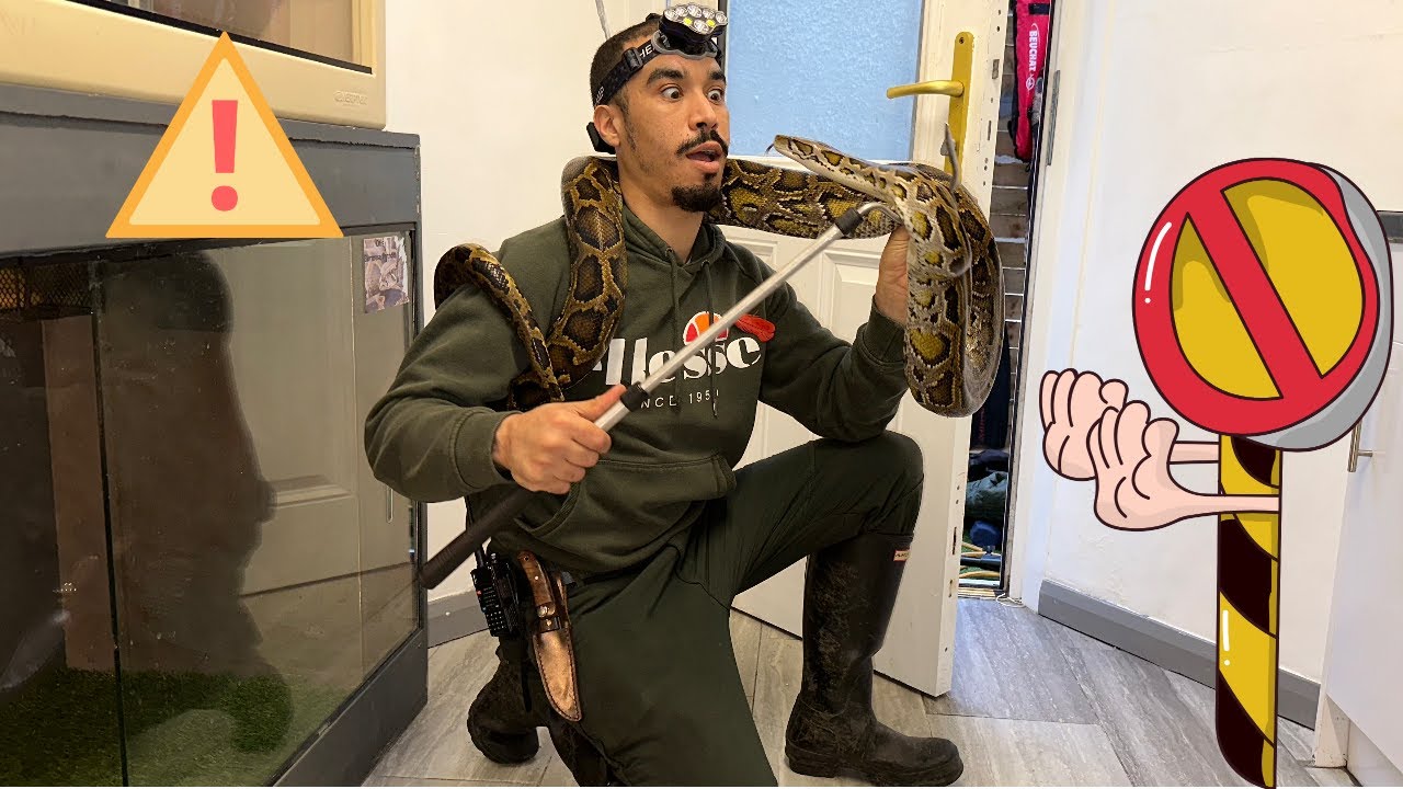 R.J.K's Animal Sanctuary : Episode 2 (Rehomed 9ft Burmese Python ...