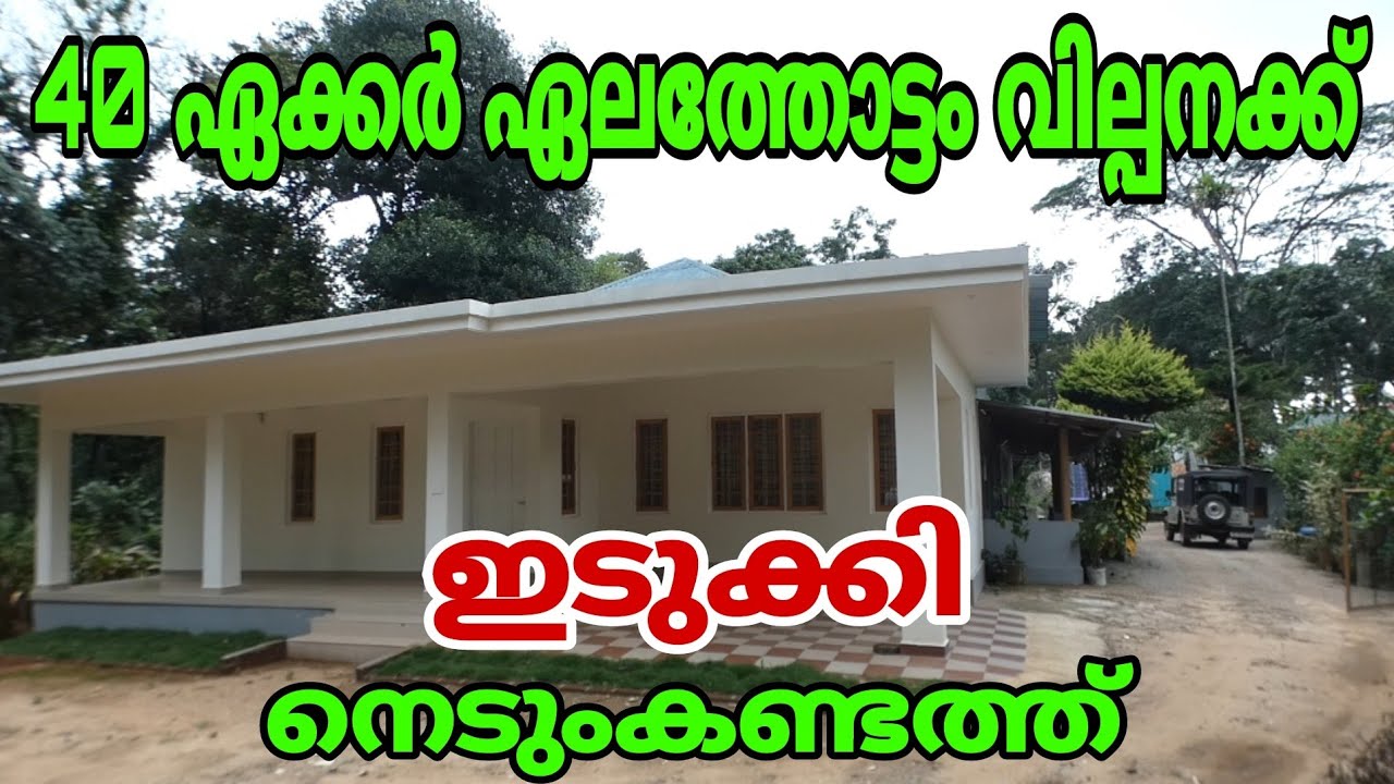 40 Acres of Cardamom estate for sale near Nedumkandam, Idukki. YouTube